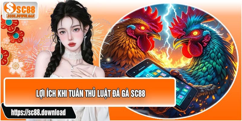 Lợi Ích Khi Tuân Thủ Luật Đá Gà SC88