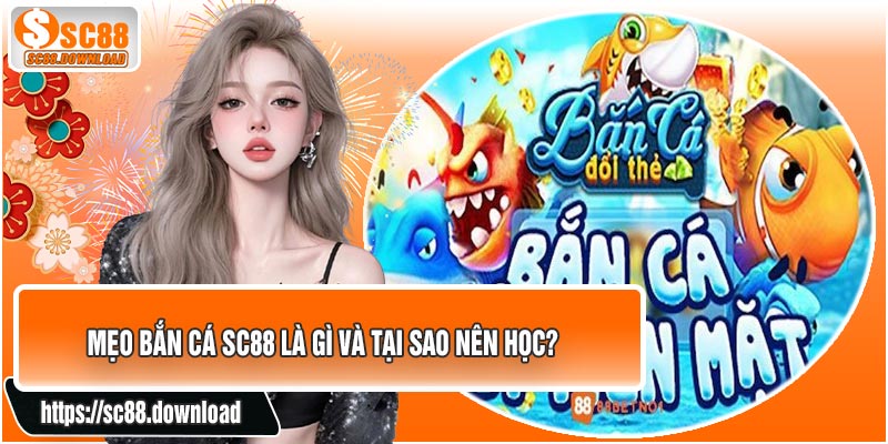 Mẹo Bắn Cá SC88 Là Gì Và Tại Sao Nên Học?