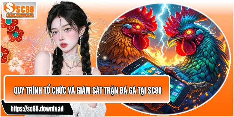 Quy Trình Tổ Chức Và Giám Sát Trận Đá Gà Tại SC88